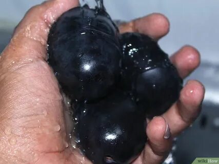 Слива в руке