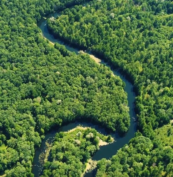 Рисунок черемшана. Черемшан на карте. Тверь волгоград расстояние. Брянск москва расстояние. Схема реки большой черемшан.