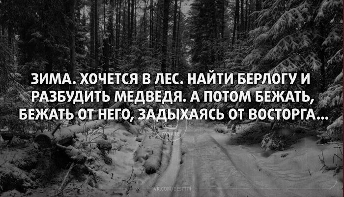 Иди лесом выражение
