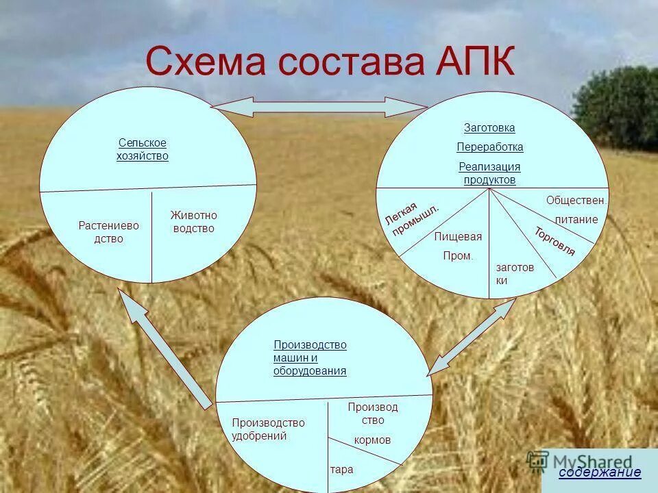 Агропромышленный комплекс России АПК 9 класс. Структура сельского хозяйства схема. Схема агропромышленного комплекса России. Состав агропромышленного комплекса РФ. Схема связи растениеводства и животноводства и промышленности