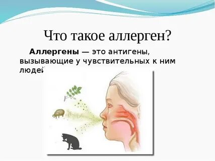 Аллергия век чем лечить