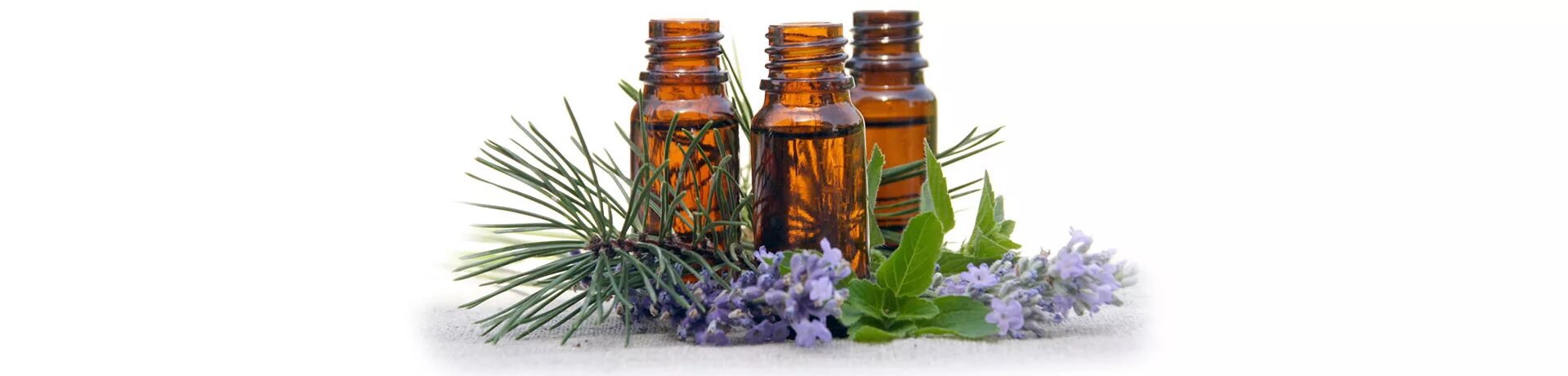 эфирные масла в комнате. эфирные масла в комнате. эфирные масла в комнате. аромамасла благовония. аромамасла эссенс.