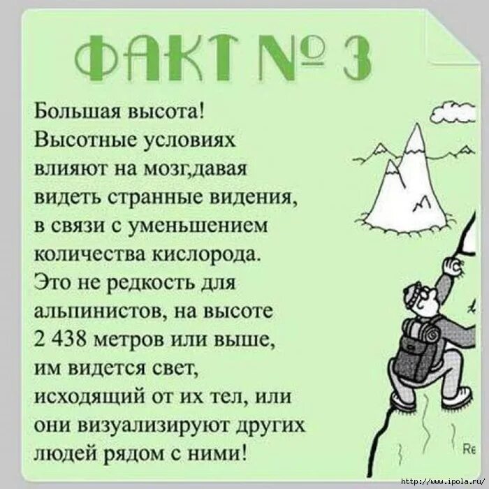 Редкие факты о людях. Головной мозг интересные факты 3 класс. Факты о мозге человека 3 класс. Интересные факты о мозге. Интересные факты о головном мозге.