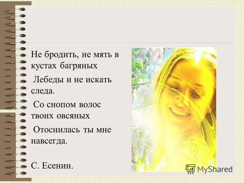 Не бродить не мять в кустах багряных есенин. Не бродить в кустах багряных. Стих есенина не бродить не мять в кустах. Стихи. Не бродить в кустах багряных.