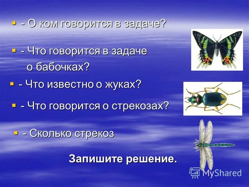 О чем говорится в задаче. Краткое сообщение о стрекозе наземно воздушная.