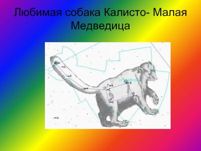 Созвездие малый пес. Созвездие малая медведица и большой пес. Созвездие малая медведица и большой пес. Большая медведица созвездие. Созвездие малая медведица и большой пес.