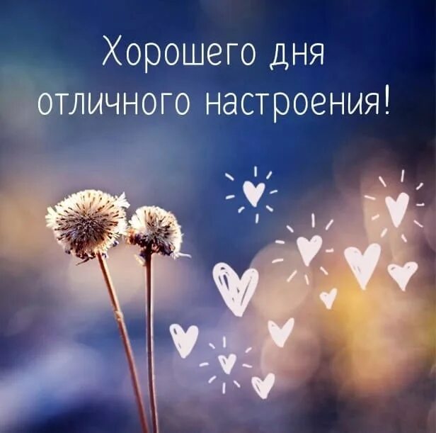 Хорошего дня очень коротко. Хороший день. удачного дня и хорошего настроения. хорошего дня и отличного настроения. хорошего дня картинки.