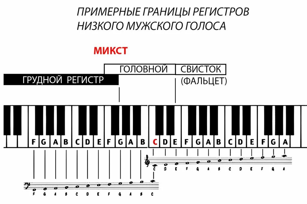 Бас баритон тенор диапазон. Диапазон баритона и переходные Ноты. Вокальные регистры. Регистры в пении. Голос низких частот