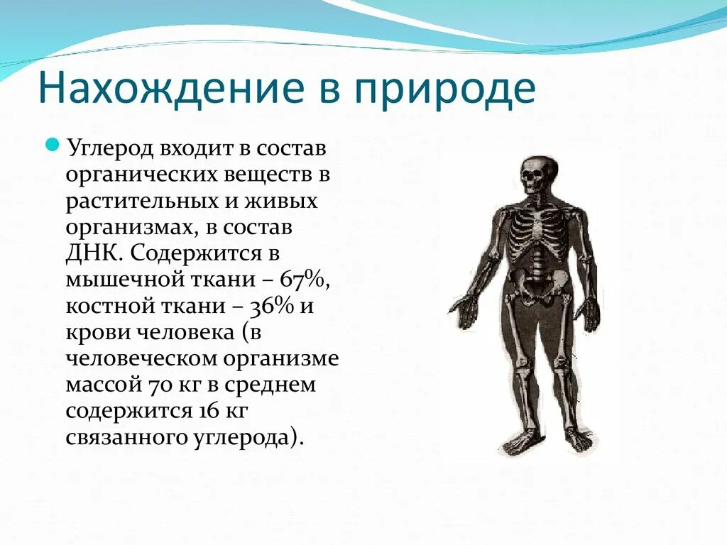 Соединения углерода в организме. Углерод презентация. Нахождение в природе углерода. Презентация по химии на тему углерод.