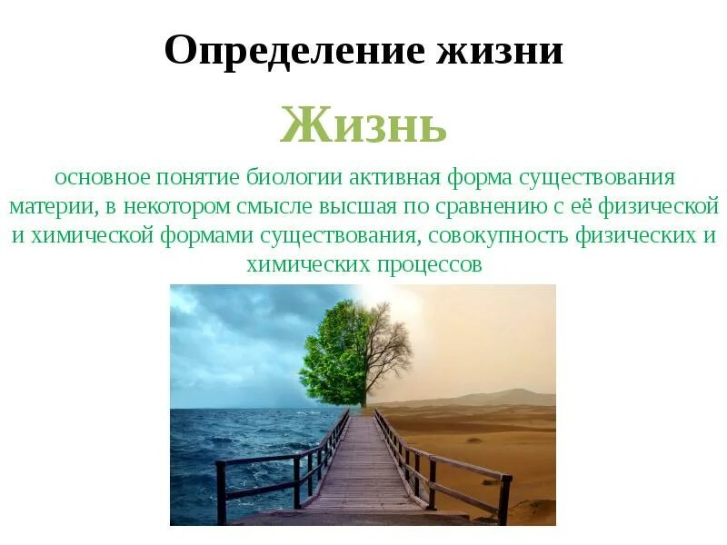 Определить жизненную роль. Определение понятия жизнь биология. Определение жизни в биологии. Понятие жизнь в биологии. Жизнь это биологическое понятие.