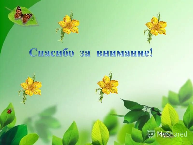 лягушка путешественница урок 3 класс с презентацией. лягушка путешественница урок 3 класс с презентацией. план к сказке гаршина лягушка путешественница. всеволода михайловича гаршина "лягушка-путешественница". литературное чтение лягушка путешественница.