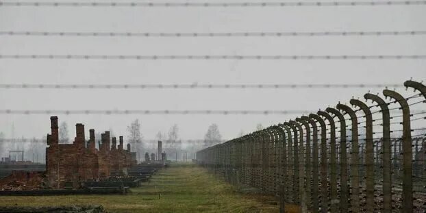 Забор концлагеря под током фото Подвиг генерала Карбышева: несломленный концлагерями Герой Истории. Судьбы. Геро