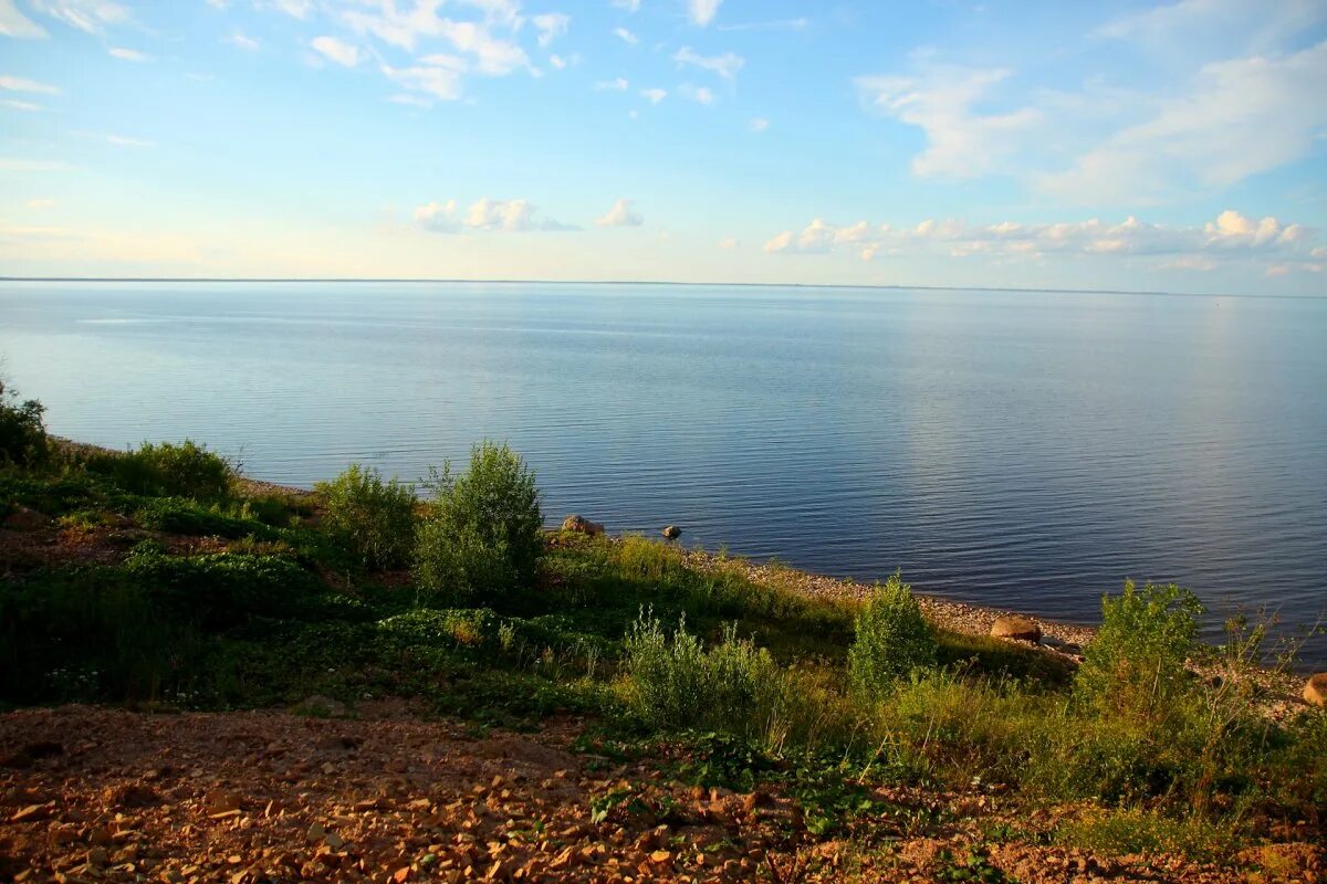 Озеро Ильмень Новгородская область. Берег озера Ильмень. Озеро Ильмень Коростынь. Деревня Коростынь озеро Ильмень берег. Название озера ильмень