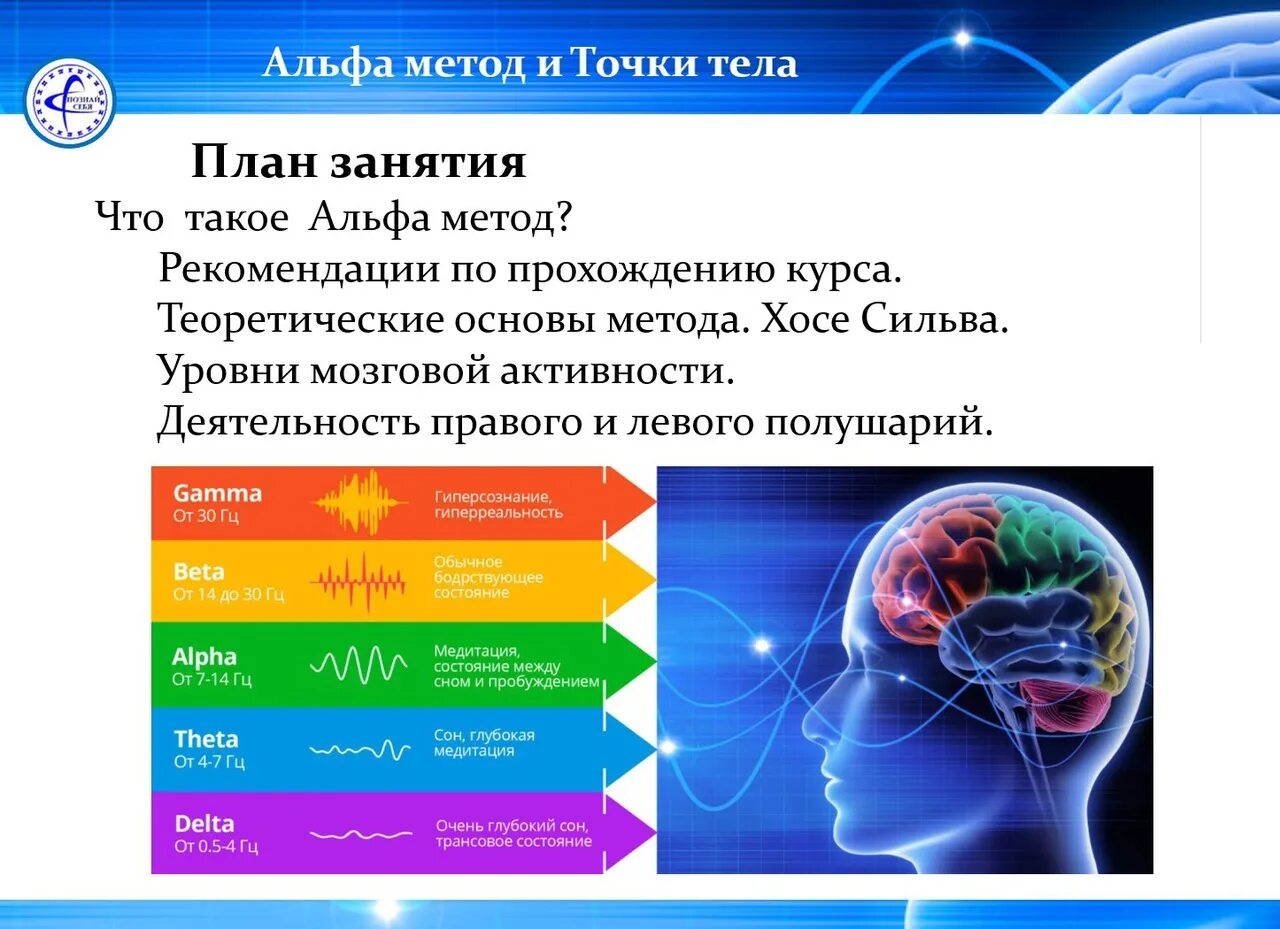 Альфа. Альфа метод. Альфа состояние. Альфа состояние человека. Свой в альфе что это такое