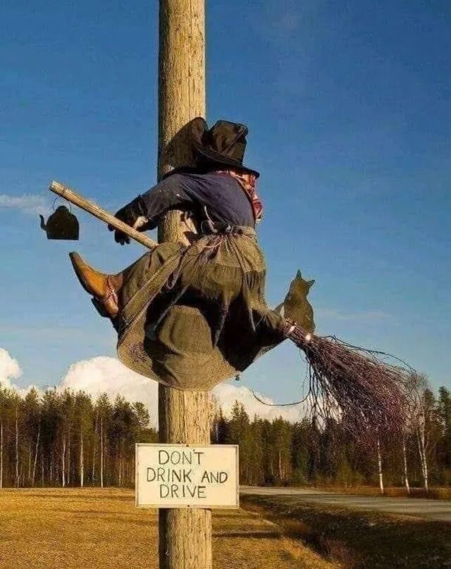 Смешной кот. Поддержим наших ребят. Баба яга на метле. Зомби за стеклянной дверью. Метла прикол.