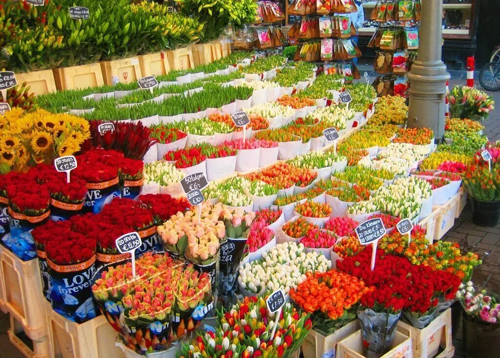 Новый цветочный рынок. Цветочный рынок Блюменмаркт Амстердам. Bloemenmarkt в Амстердаме. Цветочный магазин Амстердам. Голландские рынки цветов.