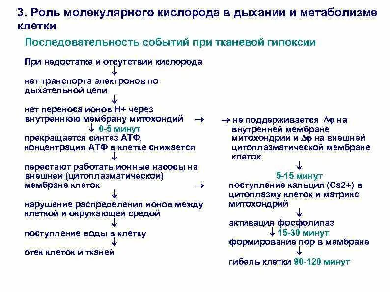 Укажи верную последовательность событий. Последовательность событий при метаболизме. Последовательность событий при метаболизме белков. Установите последовательность событий при метаболизме. Последовательность событий при метаболизме белков в организме.