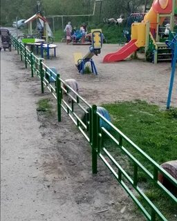Кинешма сокольники