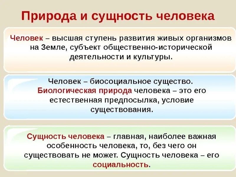 Что определяет сущность человека