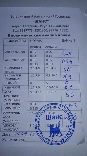 Аст алт повышена у собак. Алт у собак норма. Алт норма у кошек. Алт АСТ У собаки. Показатель АСТ У собак.