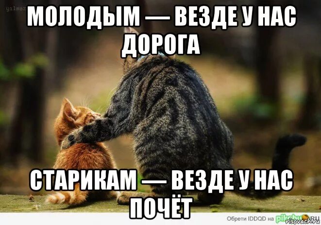 В друзья не добавляю. Добавить везде. Кругом космос везде космонавты. Добавить везде. Молодым везде у нас дорога.