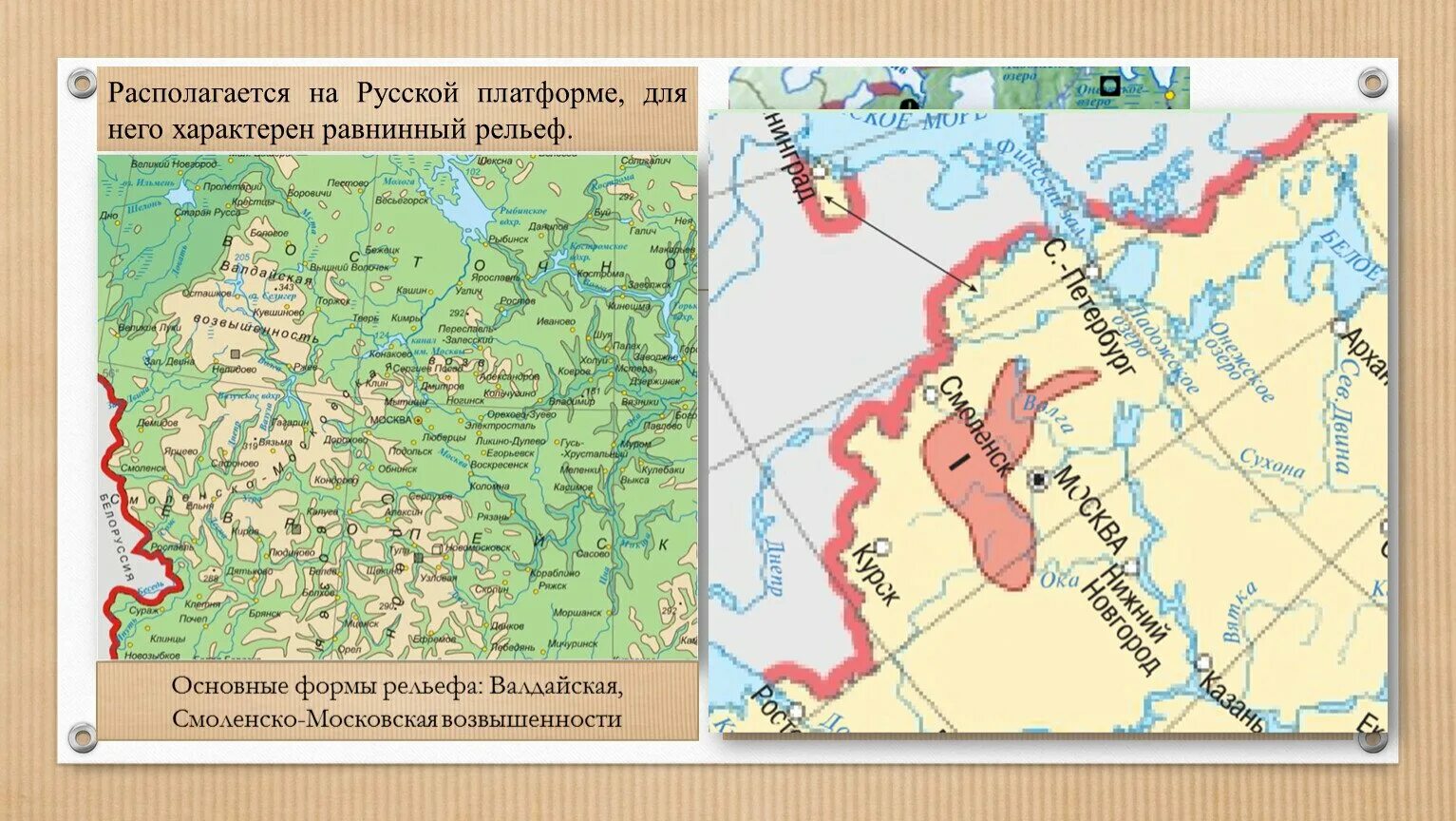 Все возвышенности россии. Равнины Среднерусская возвышенность на карте. Восточно-европейская равнина на карте. Центральная Россия Восточно-европейская равнина. Среднерусская возвышенность на карте центральной России.