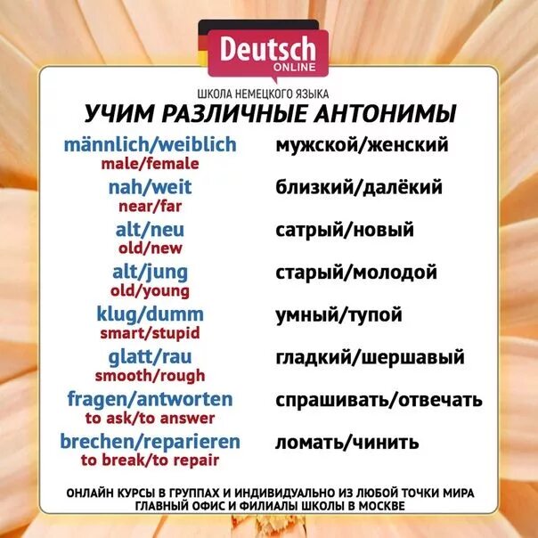 Методика немецкого языка. Антонимы в немецком языке. Прилагательные антонимы в немецком языке. Противоположности на немецком языке. Немецкий язык.