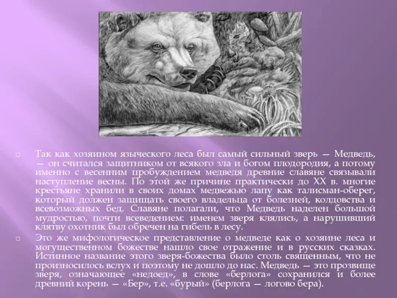 Прозвища зверей в народных. Хозяином языческого леса был медведь. Кто такой хозяин леса. Хозяином языческого леса был медведь — самый сильный зверь.картинки. Как называют хозяина леса.