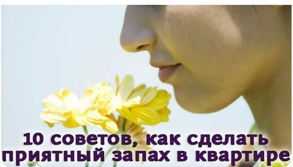 Как создать аромат в квартире. Ароматные композиции. Освежитель воздуха shutterstock. Как сделать приятный запах. Как сделать приятный запах.