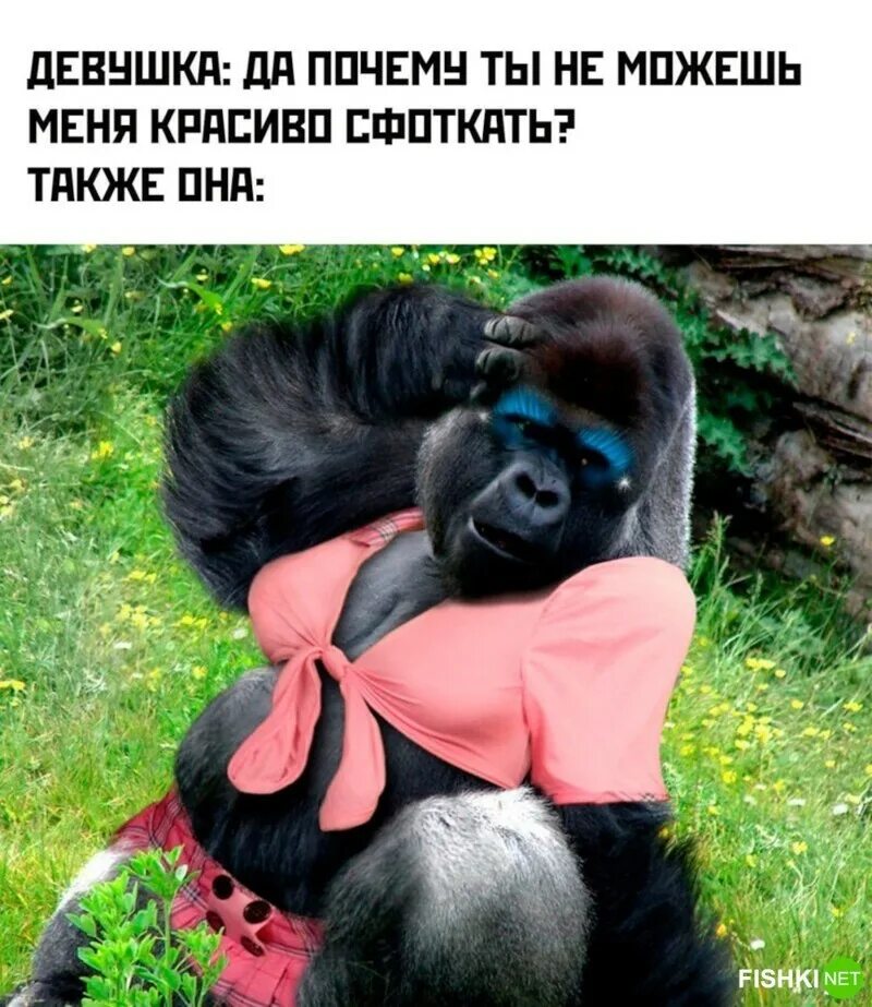 Тетя горилла героиня стихотворения. Горилла смешная. горилла девочка. обезьяна девочка. горилла и девушка.