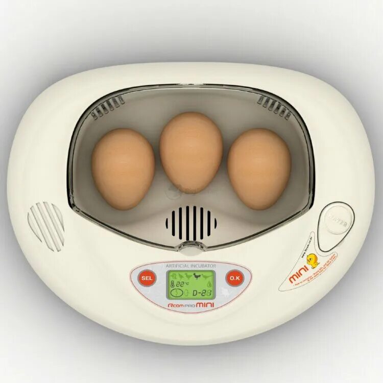 Incubator