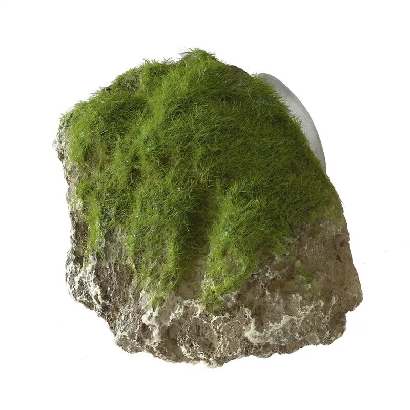 Со stone. Декоративный камень с мхом для аквариума Aqua della "Moss Stone". Камень для аквариума Декси камень № 403 32х11х20 см. Валун со мхом. Мох на Камне.