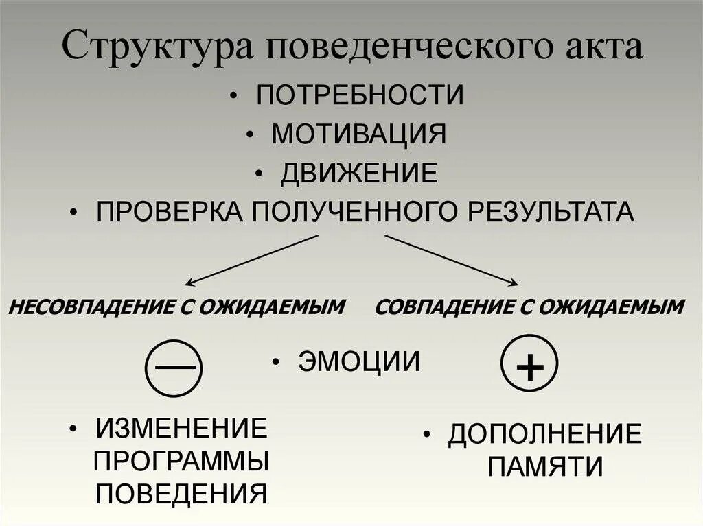 Теоретический акт. Структурой поведенческого акта анохина. общая схема индивидуального поведенческого акта. . структура целенаправленного поведенческого акта. структура поведенческого акта собак.