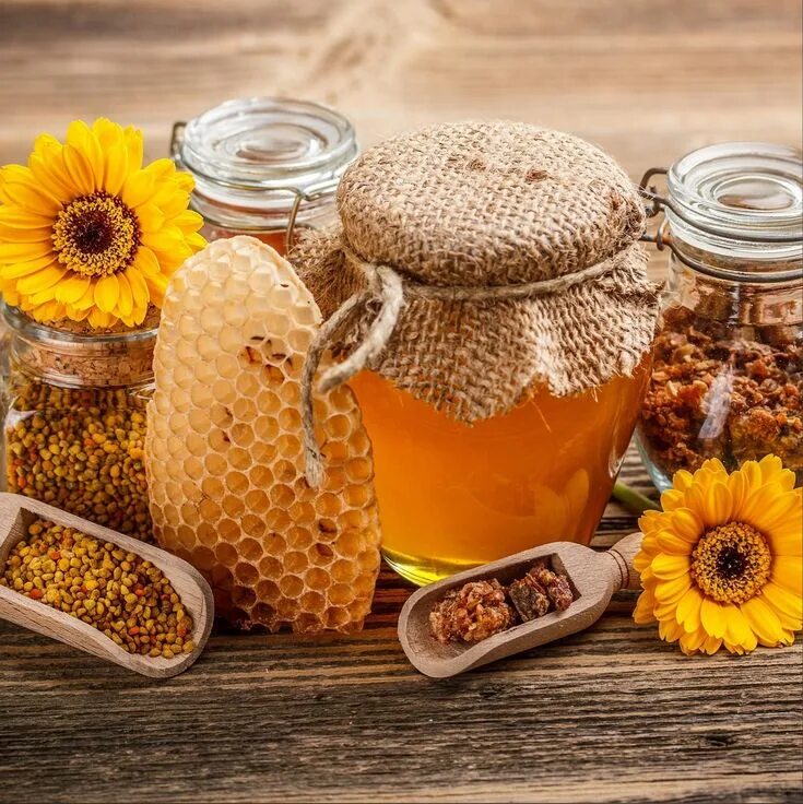 Мёд и продукты пчеловодства. Продукты пчеловодства. Мёд и продукты пчеловодства. Продукты пасеки. Продукция из меда.