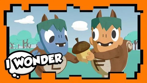 I wonder 4