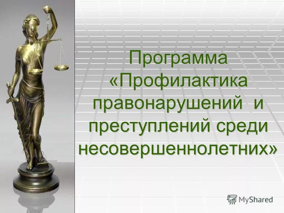 Профилактика правонарушений. Профилактика правонарушений и преступлений. Профилактика правонарушений среди несовершеннолетних презентация. Профилактика правонарушений в школе.