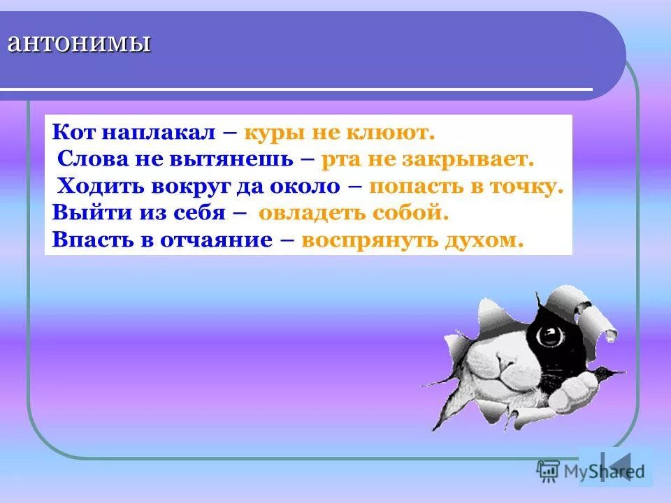 Антоним выражению. Кот наплакал антоним фразеологизм. кот наплакал противоположное выражение. кот наплакал антоним. антонимичные фразеологизмы кот наплакал.