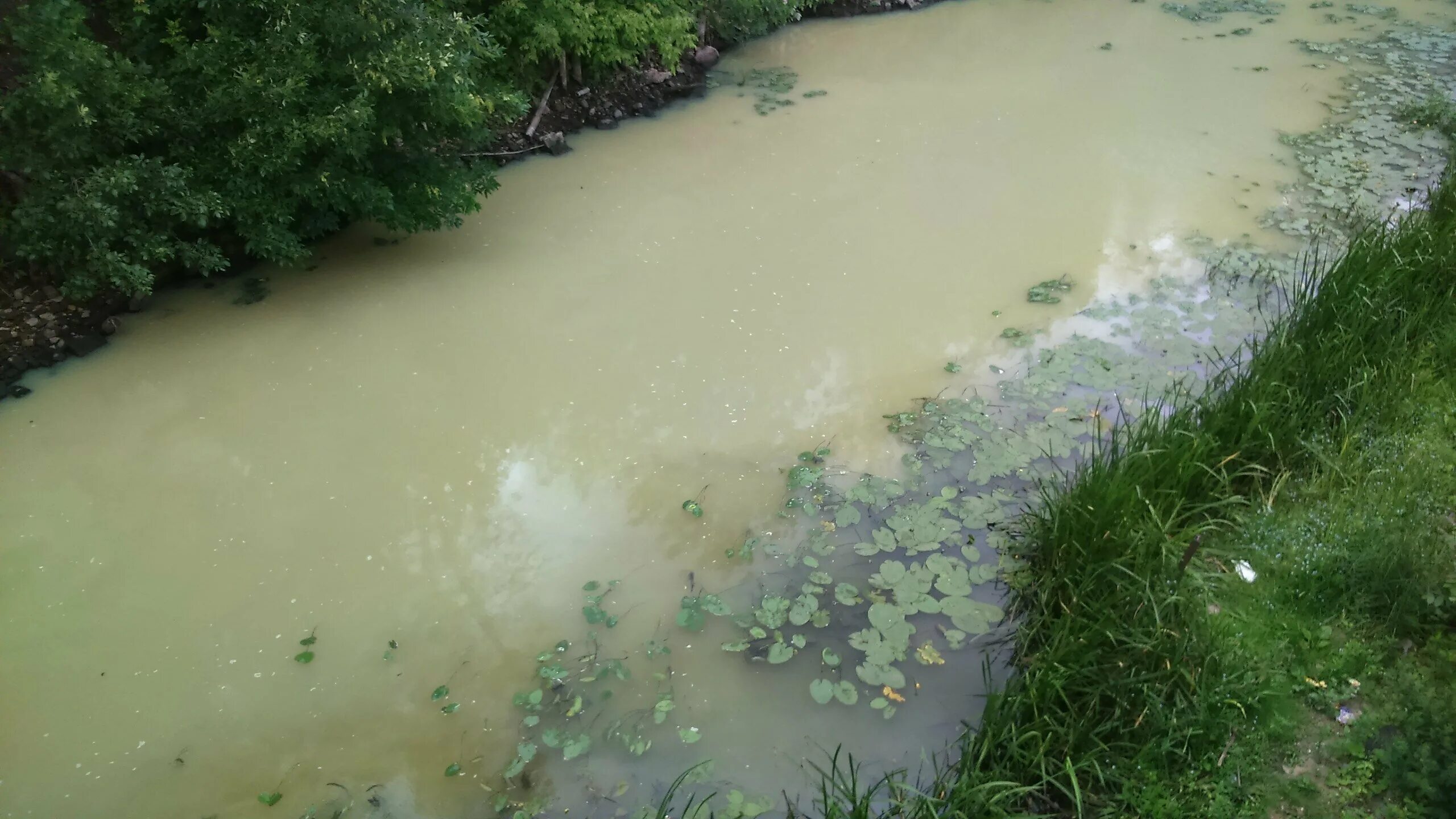 Помнит только мутной реки вода. Мутная река. Мутная вода. Мутная вода в реке. Мутность воды в реке.