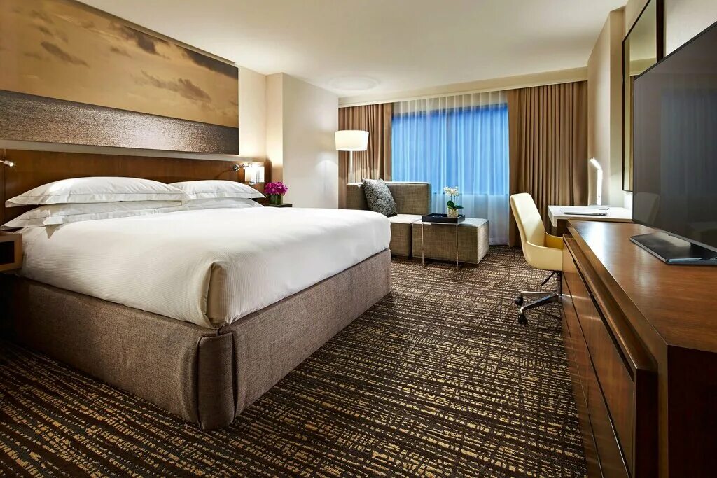HILTON ST. PETERSBURG BAYFRONT 4* (Сент-Петерсбург) - отзывы, фото и сравнение ц