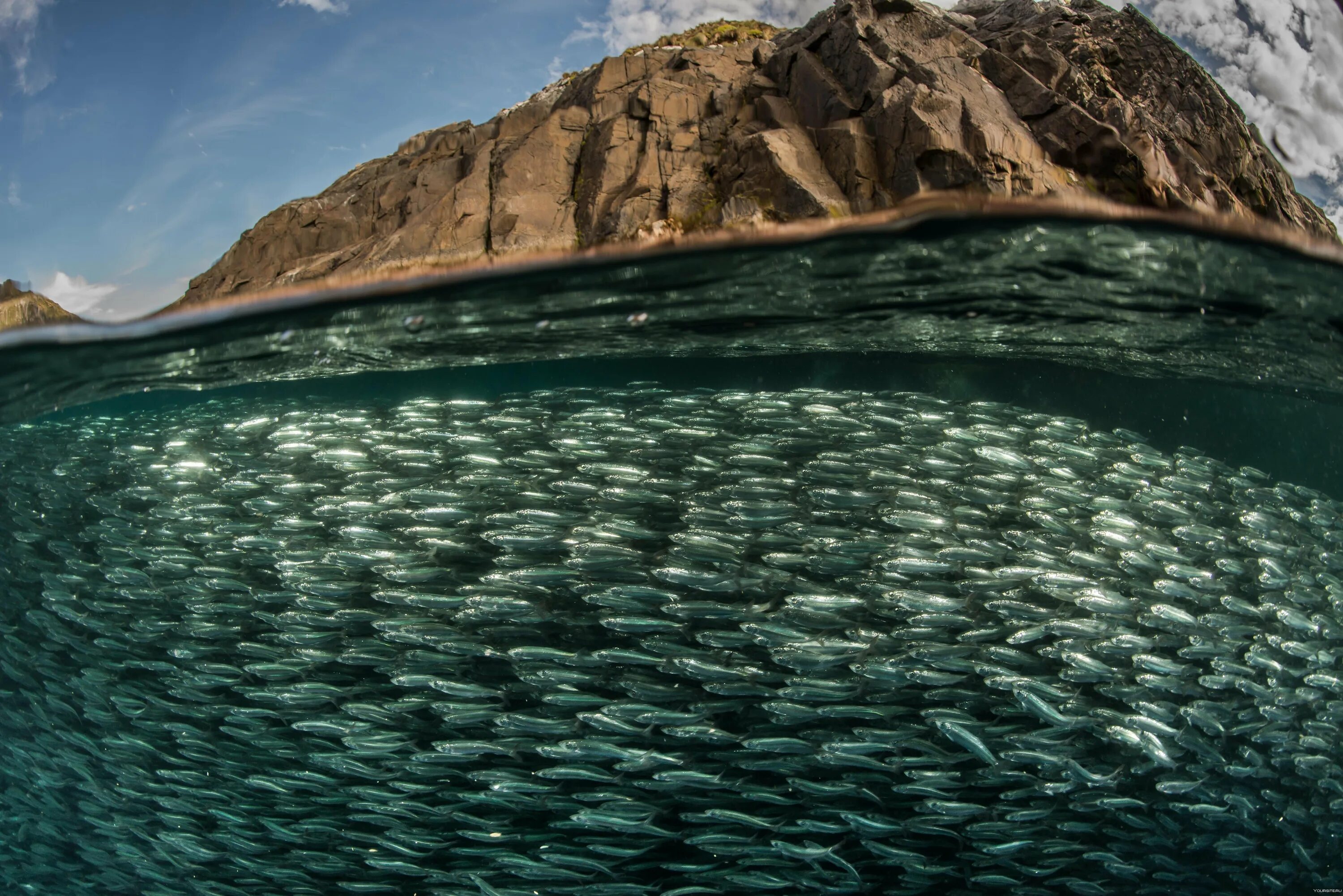 3 самых больших моря