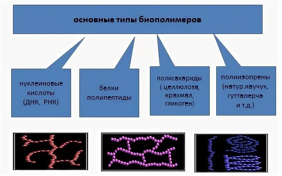 Супрамолекулярные структуры. Высокомолекулярные соединения волокна. Волокна химия егэ. Синтетические полимеры волокна. Высокомолекулярные соединения полимеры.