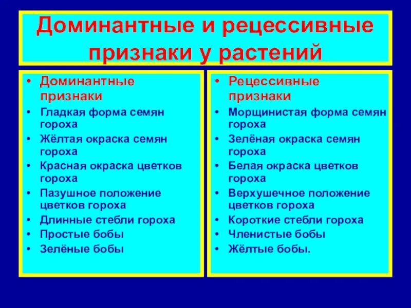 Гены доминирующие и рецессивные у людей. Доминантные и рецессивные признаки. домиантныеирецессивные признаки. доминантный признак. доминантный признак и рецессивный признак.
