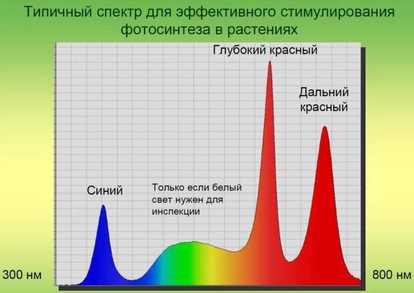 Спектры для растений. Идеальный спектр для растений. Красно синий спектр для растений. Спектр света для растений.