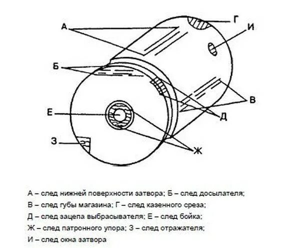 Стрелянная гильза следы. Следы частей оружия на стреляной гильзе и пуле. Стрелянная гильза следы. Механизм образования следов огнестрельного оружия на пулях. Стреляная гильза пм.
