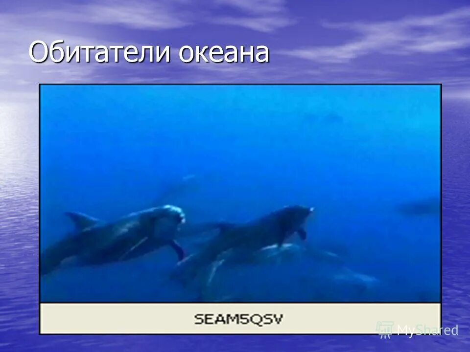 проект океан. презентация про океана география. океан философия. мировой океан презентация. тема океан.