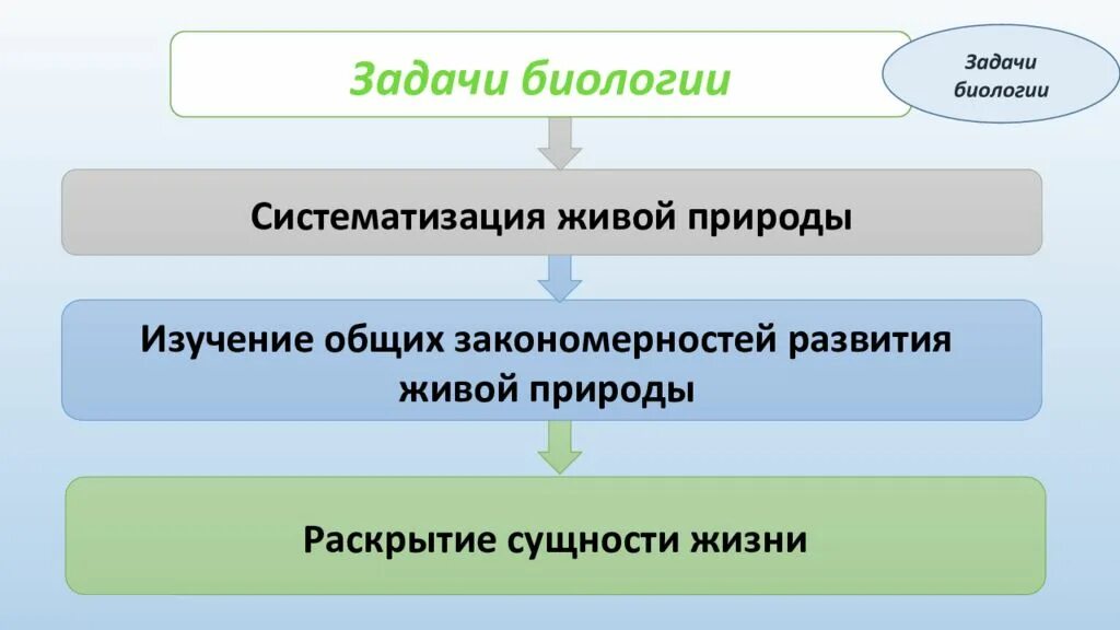 Задачи биологии. Цели и задачи биологии. Предмет и задачи биологии. Задачи общей биологии.