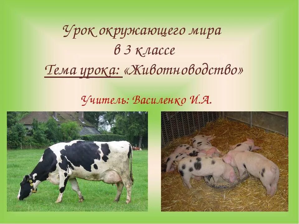 товары животноводства 3 класс. окружающий мир 3 класс рабочая тетрадь школа россии.