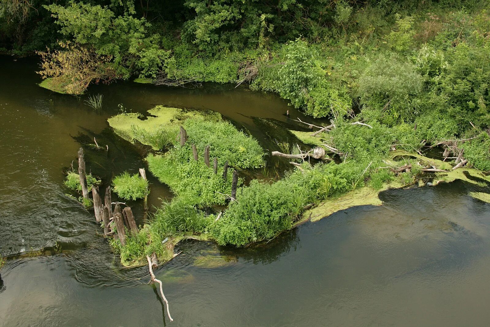 река оскол белгородской области. река оскол аолоконоаского рацона белгород. волоконовка река оскол. районе реки оскол. районе реки оскол.