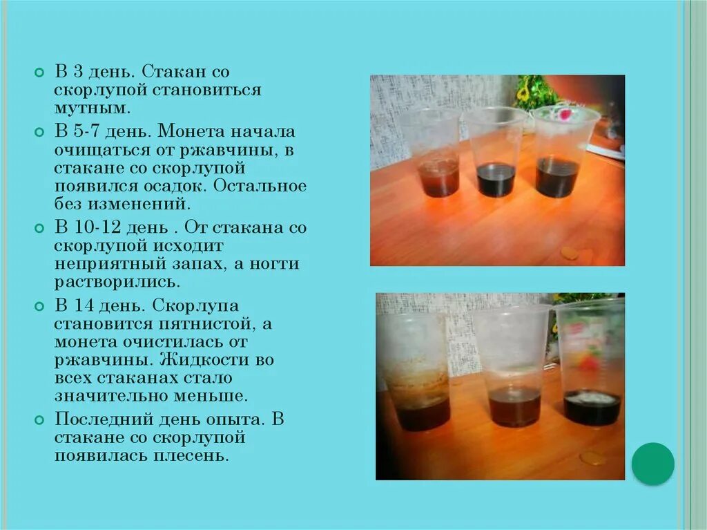 Исследовательская работа напитки