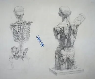 Рисунок 2 курс
